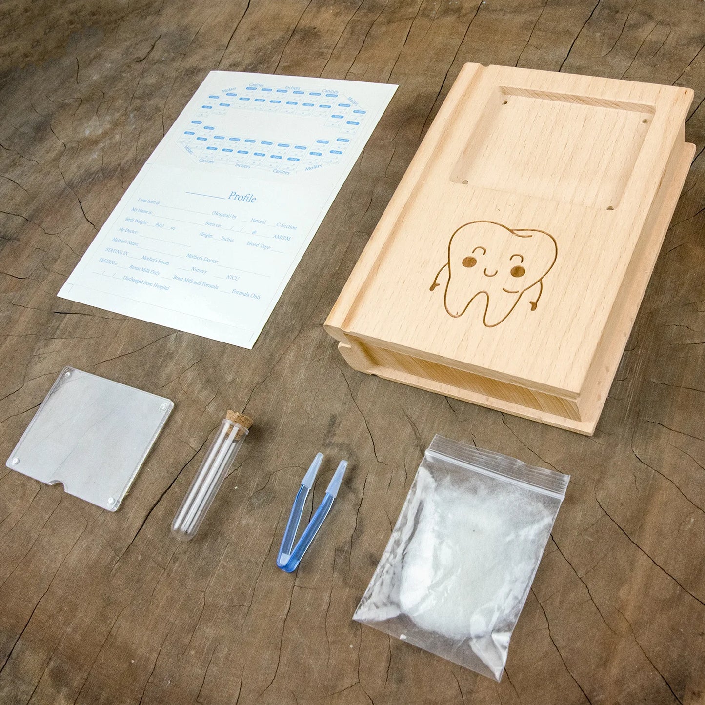 Caja Organizadora Dientes Bebé Forma Libro - Caja Recuerdos Dientes Leche Inglés Souvenir - Huellitas de Vida
