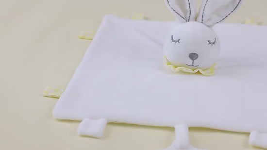 Soft Animal Pattern Appease Towel Baby Plush Blank